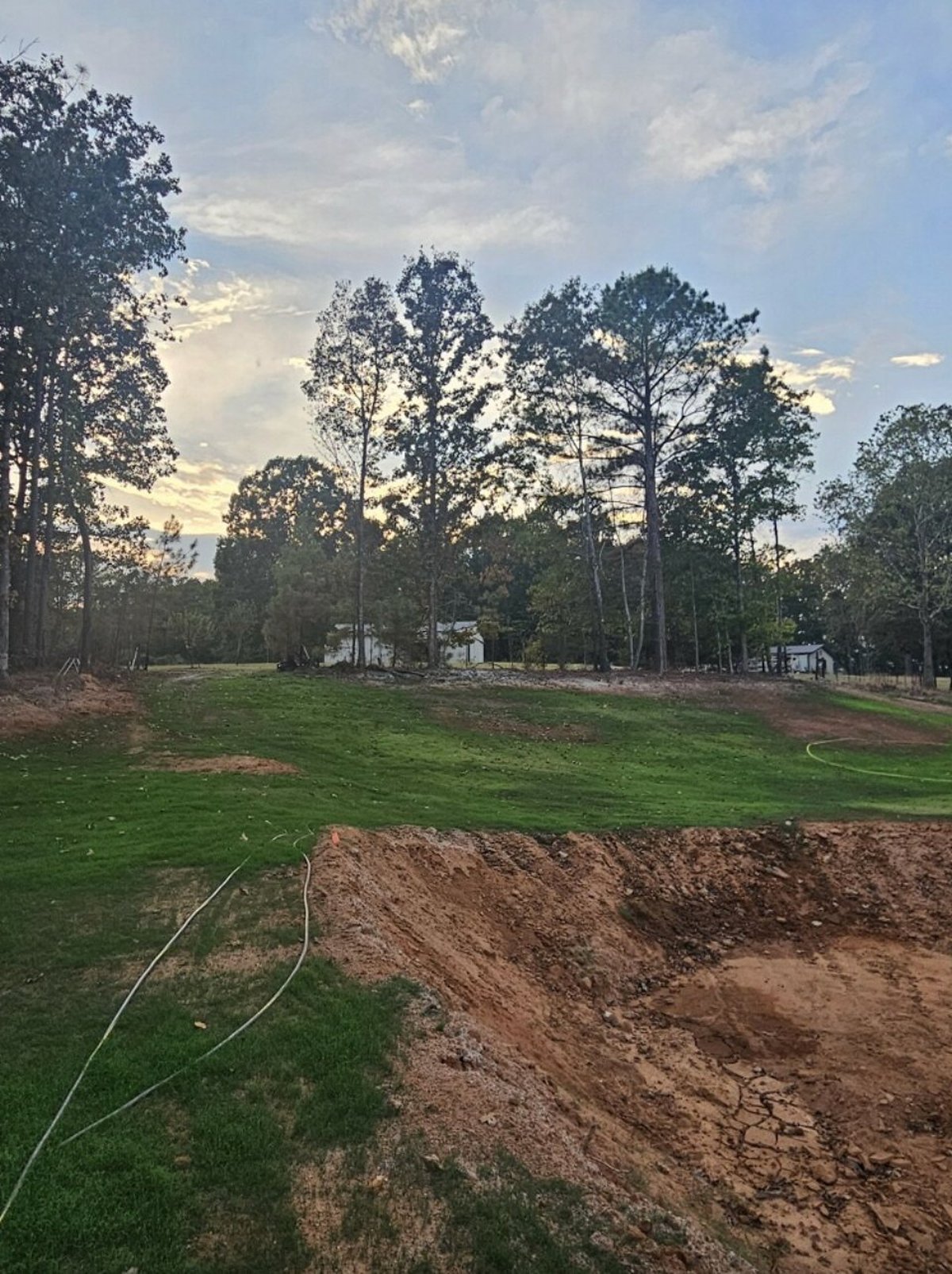Fresh hydroseed slurry establishing thick green grass next to a graded embankment at a Jernigans job site